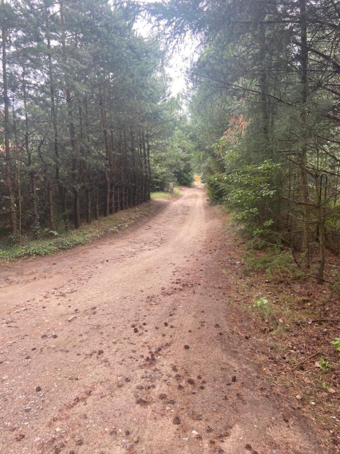 Domek Nad Jeziorem Kamien 2A Kowalewo Dış mekan fotoğraf